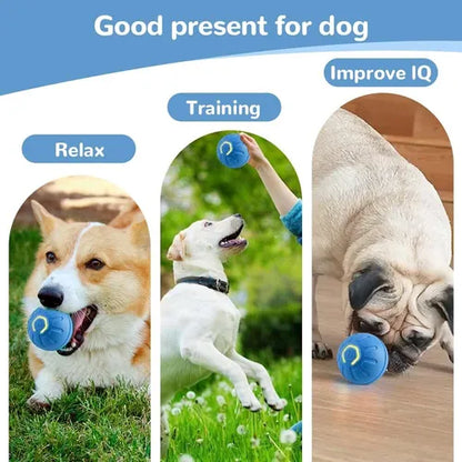 PELOTA INTELIGENTE PARA MASCOTAS.